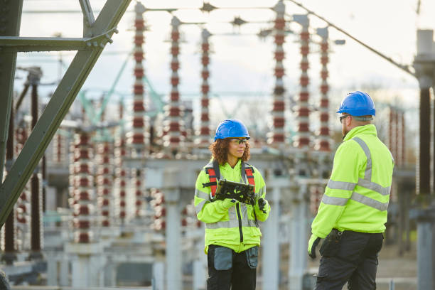 Best Electric Panel Repair  in Sealy, TX